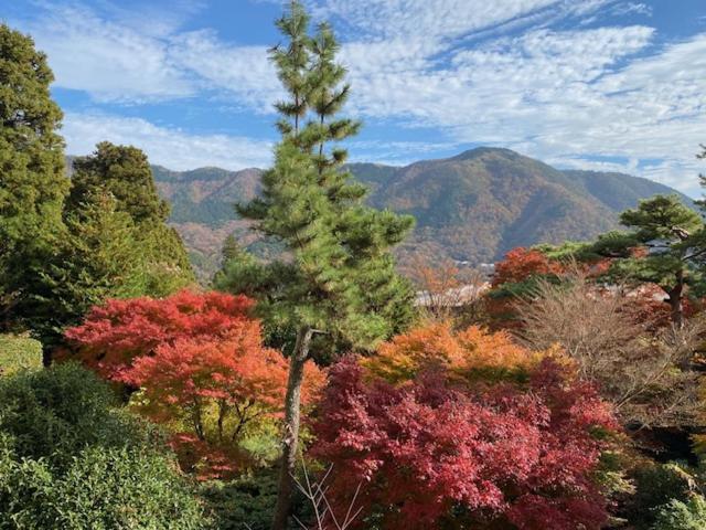 Hotel Marroad Hakone Exterior foto